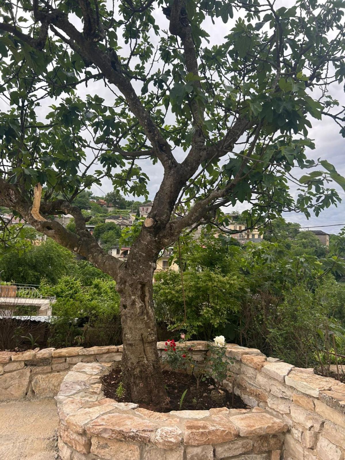 Guest House Lengo Gjirokaster Bagian luar foto